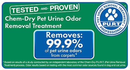 Pet urine is full of ammonia and bacteria, it's a good thing our P.U.R.T. service removes 99.9% of odors and 99.2% of bacteria from your carpets!